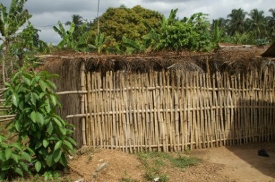 Abomosu